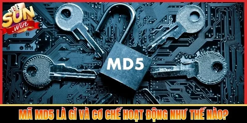 Mã MD5 là gì và cơ chế hoạt động như thế nào?