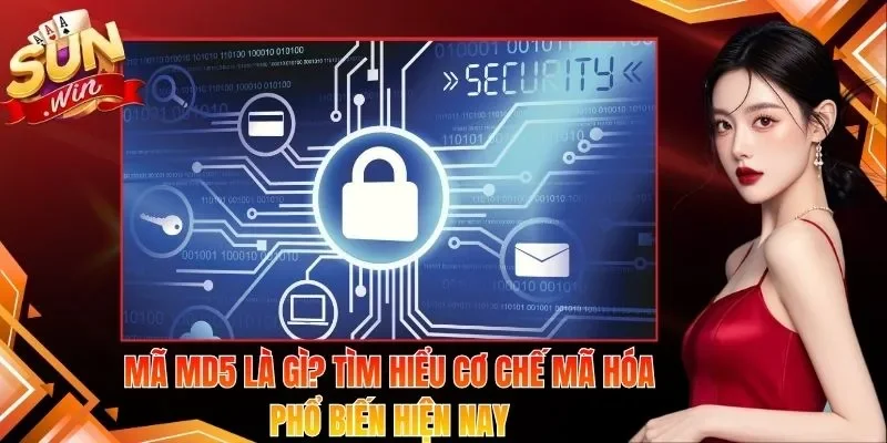 Mã MD5 Là Gì? Tìm Hiểu Cơ Chế Mã Hóa Phổ Biến Hiện Nay