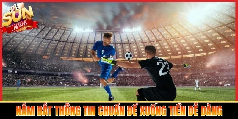 Nắm bắt thông tin chuẩn để xuống tiền dễ dàng