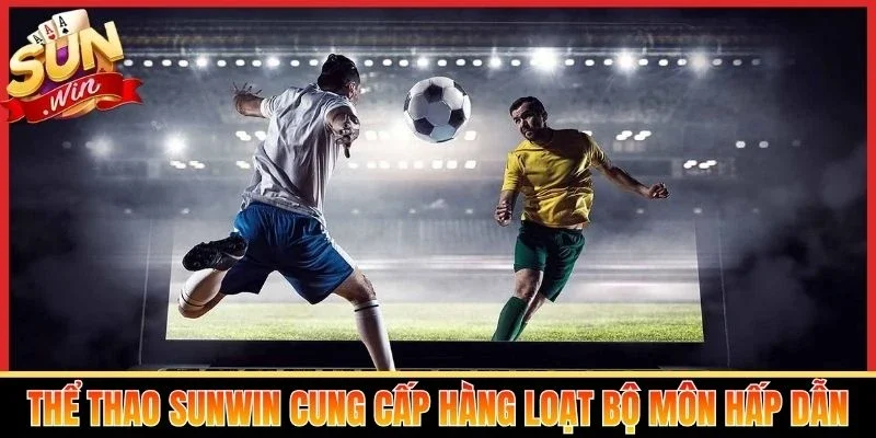 Thể thao Sunwin cung cấp hàng loạt bộ môn hấp dẫn